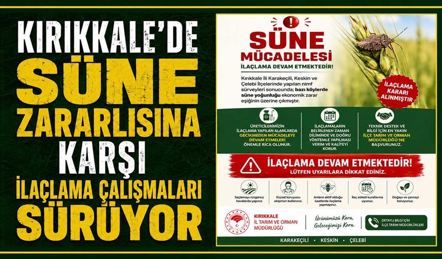 Kırıkkale'de süne zararlısına karşı ilaçlama çalışmaları sürüyor
