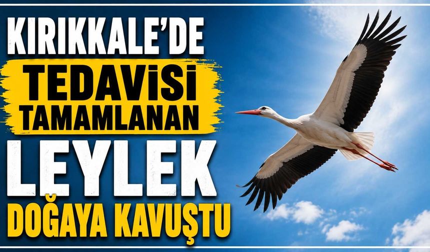 Kırıkkale’de tedavisi tamamlanan Leylek doğaya kavuştu