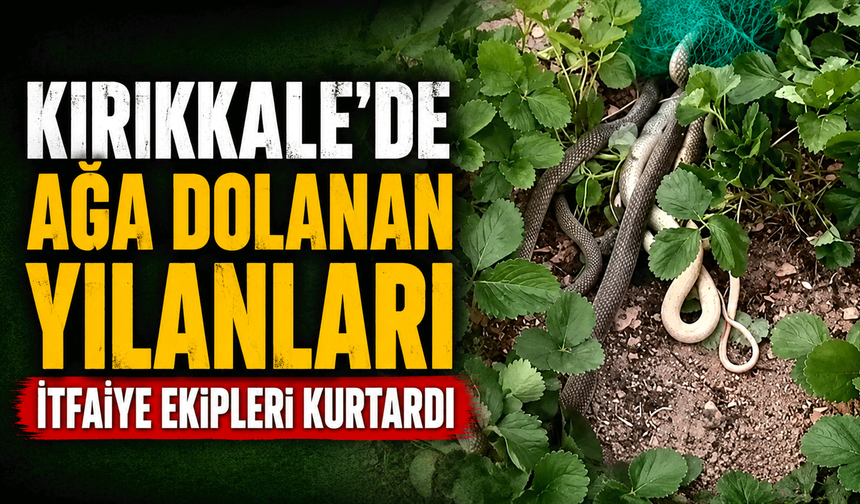 Ağa dolanan yılanları itfaiye ekipleri kurtardı