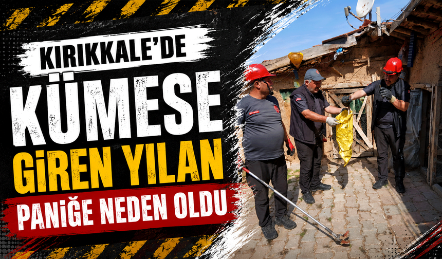 Kırıkkale’de kümese giren yılan paniğe neden oldu