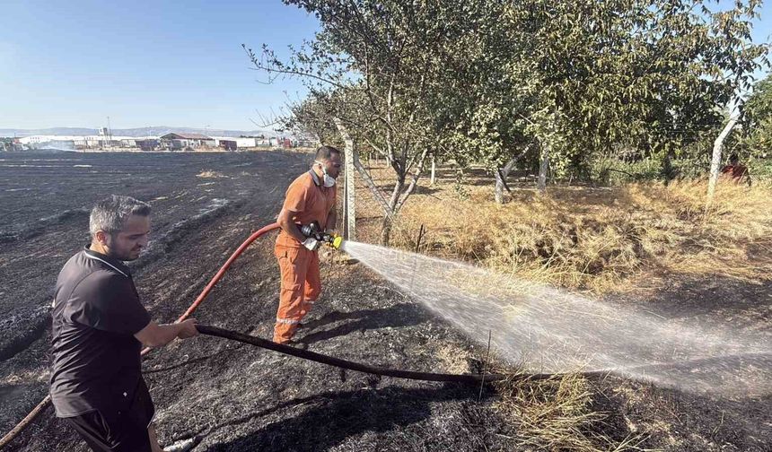 Anız yangını: Alevler milyar dolarlık fabrikaya 200 metre kala durduruldu