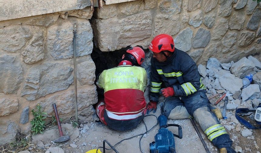 Konya'da duvar arasında kalan kediye itfaiyeden 9 saatlik kurtarma operasyonu