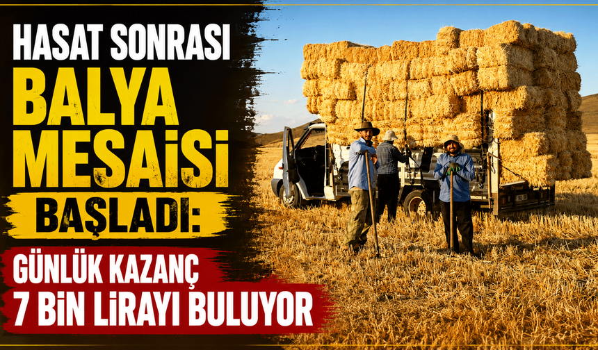 Hasat sonrası balya mesaisi başladı: Günlük kazanç 7 bin lirayı buluyor