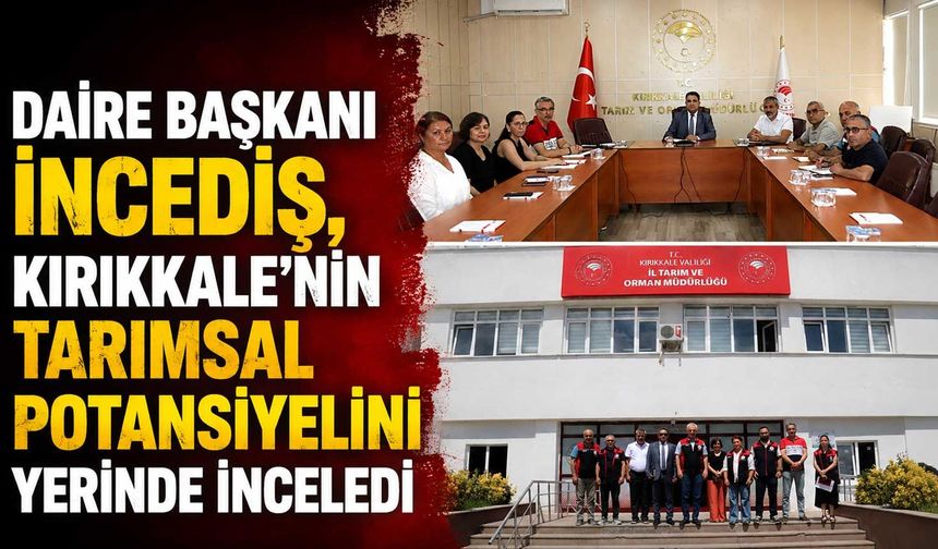 Daire Başkanı İncediş, Kırıkkale'nin tarımsal potansiyelini yerinde inceledi