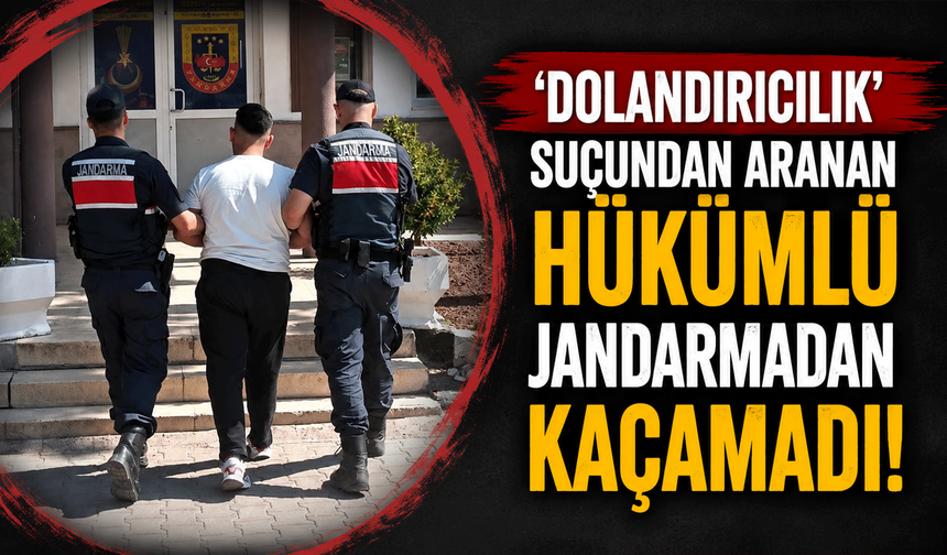 'Dolandırıcılık' suçundan aranan hükümlü jandarmadan kaçamadı