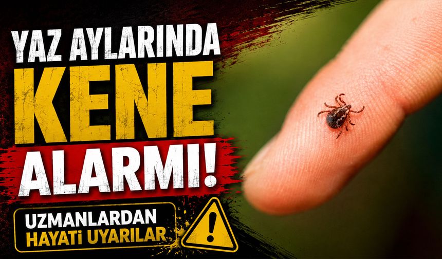 Yaz aylarında kene alarmı! Uzmanlardan hayati uyarılar