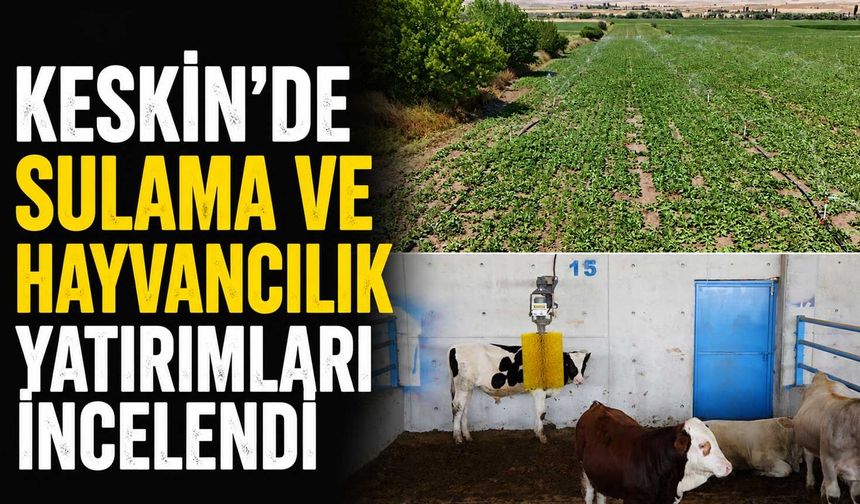 Keskin'de sulama ve hayvancılık yatırımları incelendi