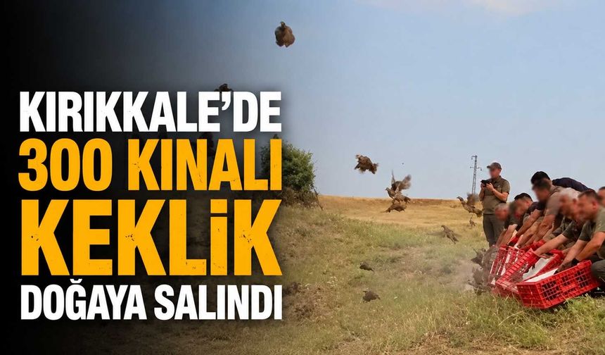 Kırıkkale'de 300 Kınalı Keklik doğaya salındı