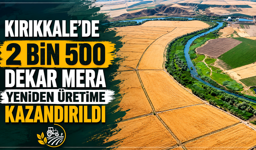 Kırıkkale'de 2 bin 500 dekar mera yeniden üretime kazandırıldı