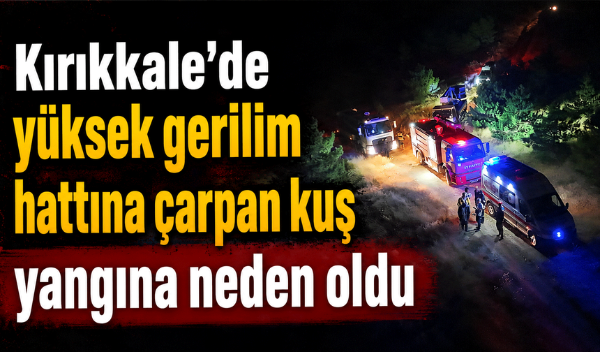 Kırıkkale'de yüksek gerilim hattına çarpan kuş yangına neden oldu