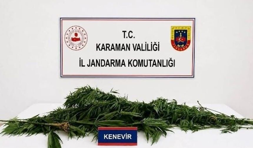 Aranan 41 şahıstan 6'sı tutuklandı