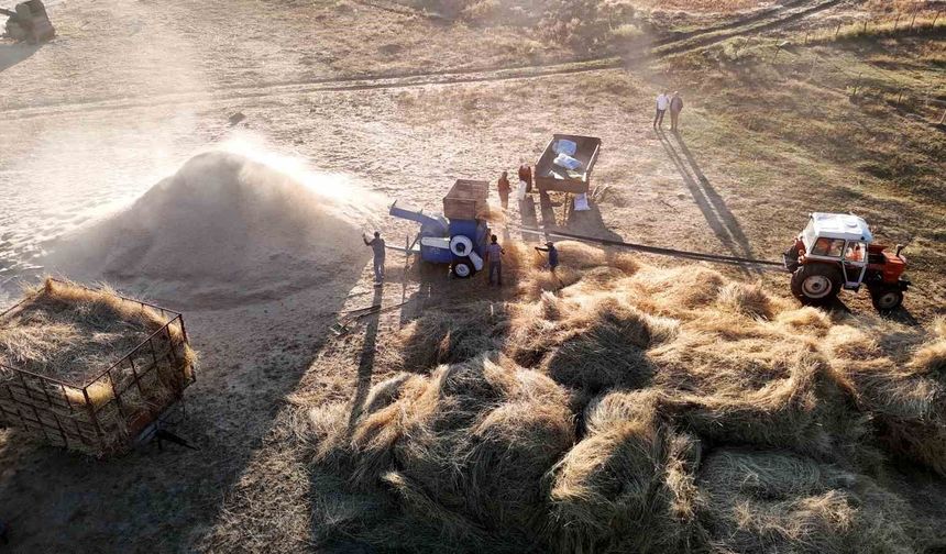 Çiftçiler patoza başladı, masalsı görüntüler ortaya çıktı