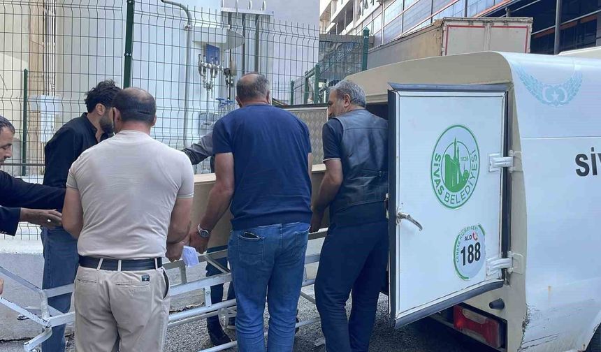 Kene bir can daha aldı, ölenlerin sayısı 13'e yükseldi
