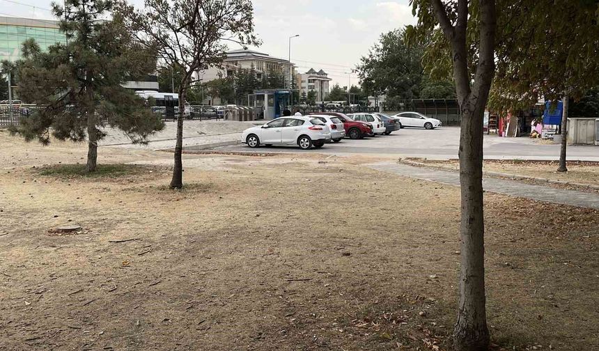 'Kıskançlık' kavgasında 15 yaşındaki çocuk bıçaklandı