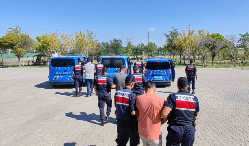 Köpekleri dövüştürüp sosyal medyada paylaştılar, jandarma ekiplerince operasyonla yakalandılar