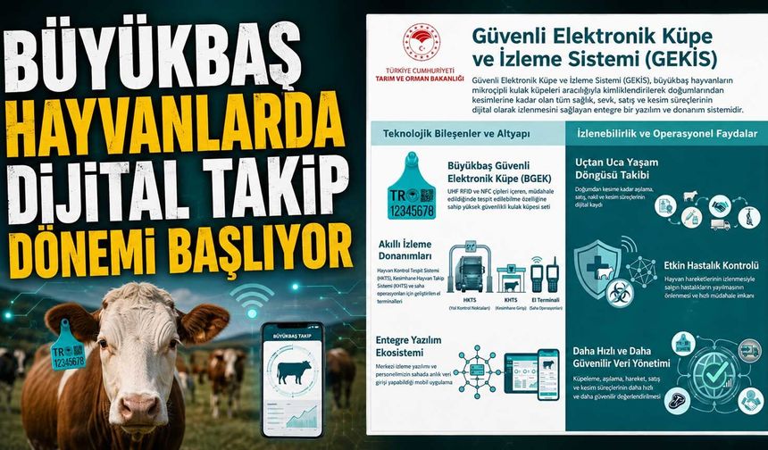 Büyükbaş hayvanlarda dijital takip dönemi başlıyor