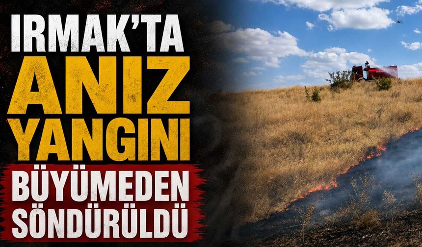 Irmak’ta anız yangını korkuttu
