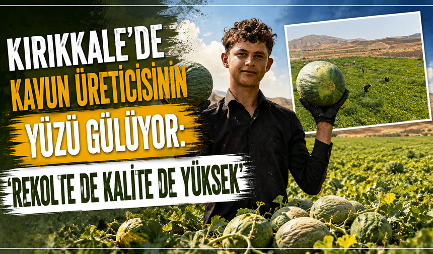 Kırıkkale'de kavun üretcisinin yüzü gülüyor: 'Rekolte de kalite de yüksek'