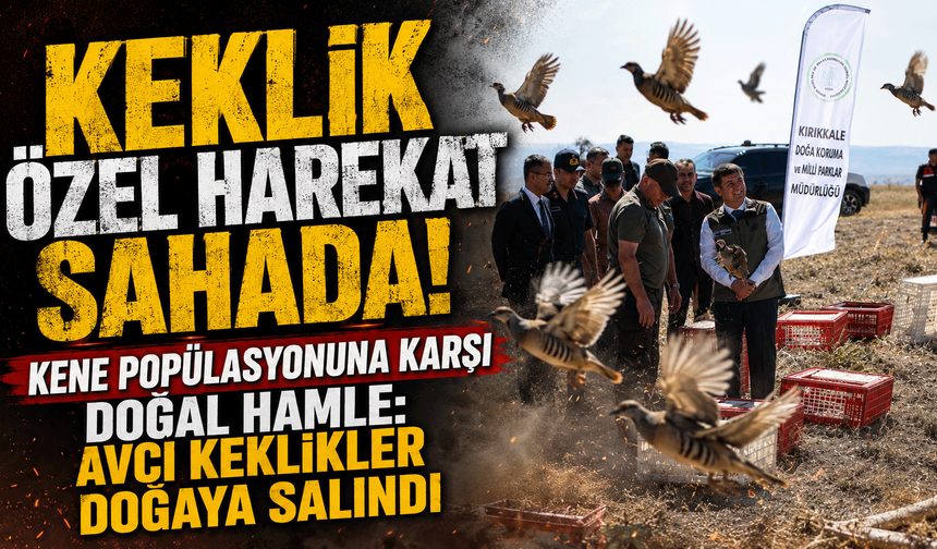 Kene popülasyonuna karşı doğal hamle: Avcı keklikler doğaya salındı