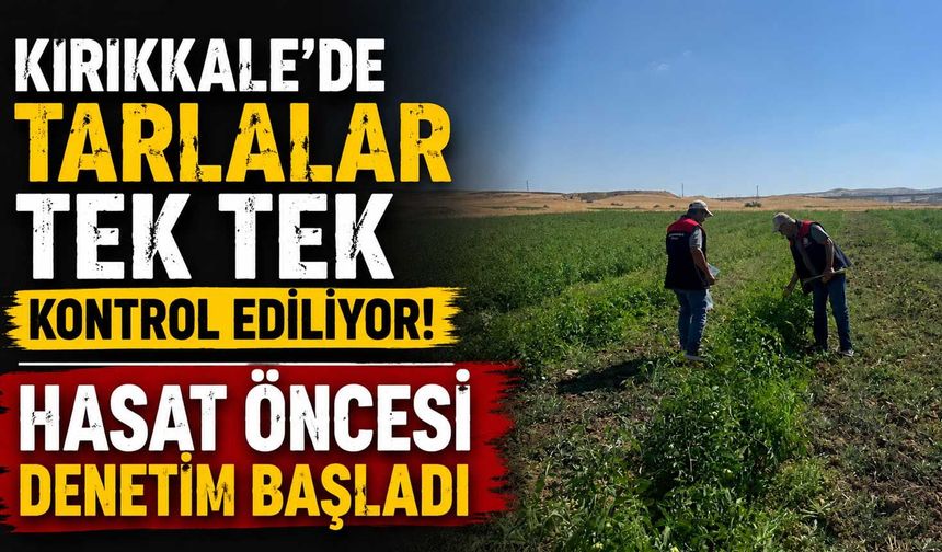 Kırıkkale’de tarlalar tek tek kontrol ediliyor: Hasat öncesi denetim başladı