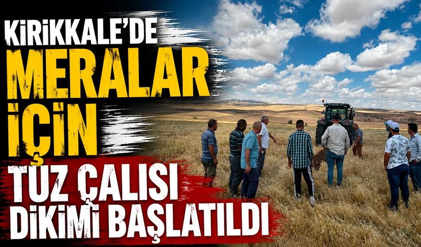 Kırıkkale’de meralar için tuz çalısı dikimi başlatıldı
