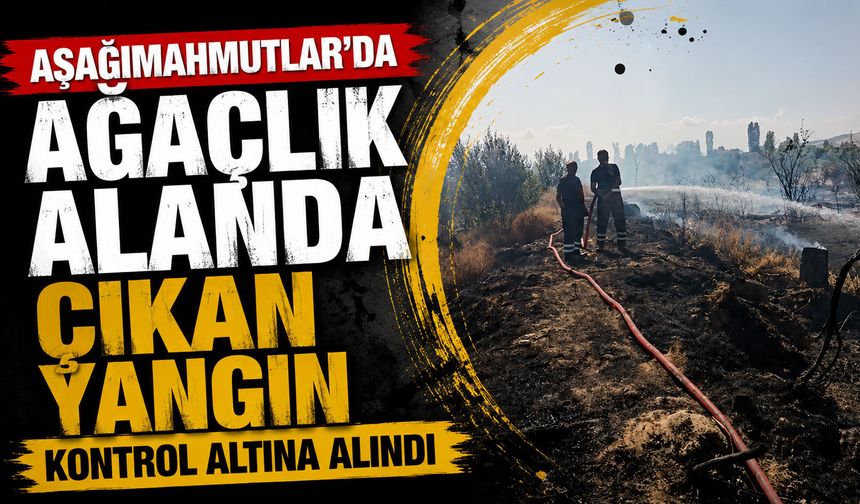 Aşağımahmutlar'da ağaçlık alanda çıkan yangın kontrol altına alındı