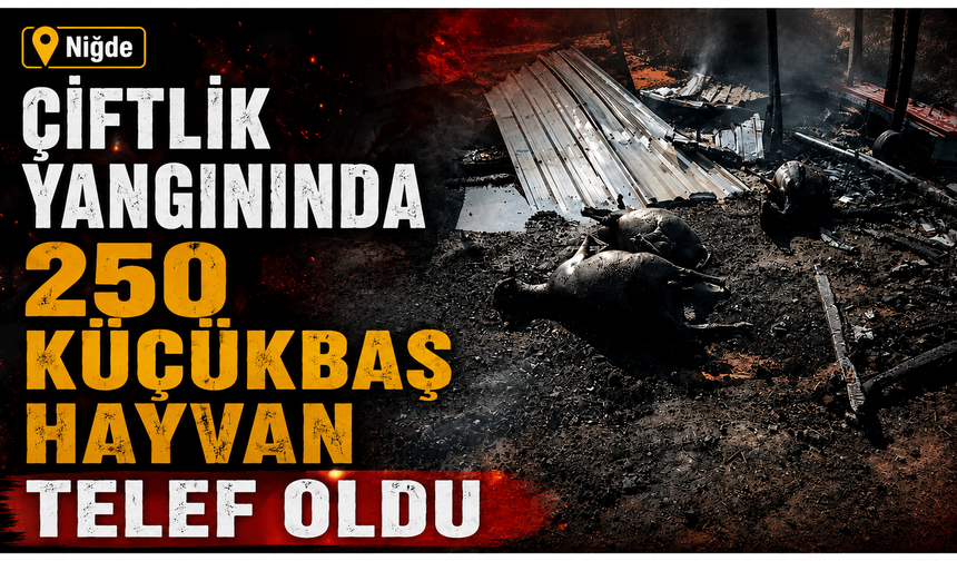 Çiftlik yangınında 250 küçükbaş hayvan telef oldu