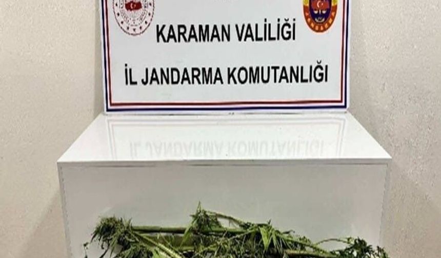 Jandarmanın yakaladığı 31 şahıstan 11'i tutuklandı