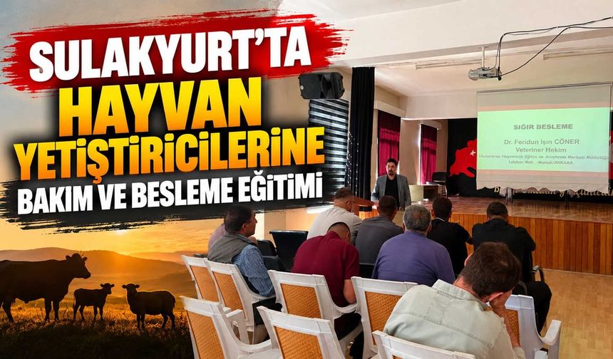 Sulakyurt’ta hayvan yetiştiricilerine bakım ve besleme eğitimi