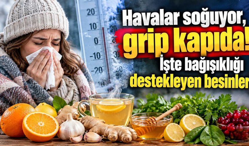 Havalar soğuyor, grip kapıda! İşte bağışıklığı destekleyen besinler