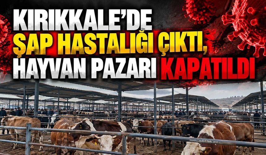 Kırıkkale'de şap hastalığı çıktı, hayvan pazarı kapatıldı