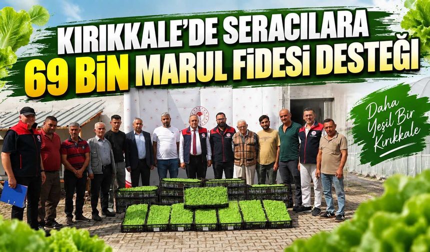 Kırıkkale’de seracılara 69 bin marul fidesi desteği