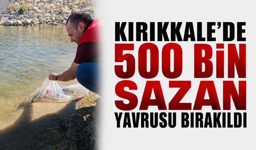 Kırıkkale’de 500 bin sazan yavrusu bırakıldı