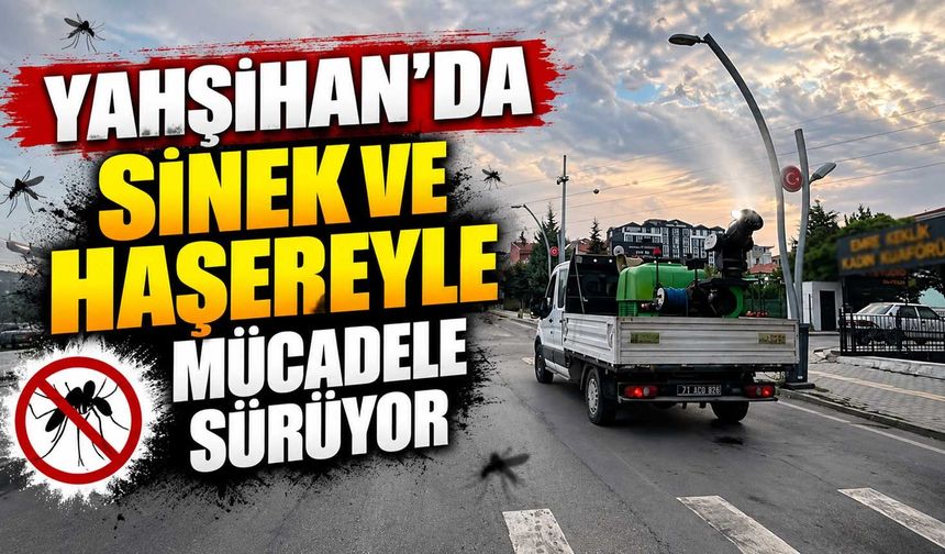 Yahşihan’da sinek ve haşereyle mücadele sürüyor