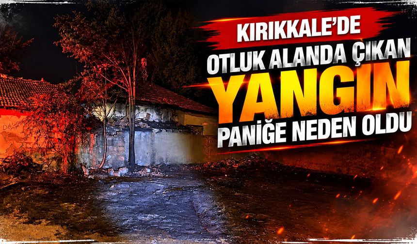 Kırıkkale'de otluk alanda çıkan yangın paniğe neden oldu