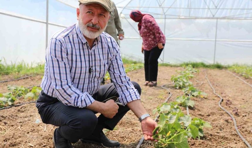 Başkan Çolakbayrakdar: 'Kayseri'mizde bir ilk olan şehir merkezi tarımıyla geleceği inşa ediyoruz'
