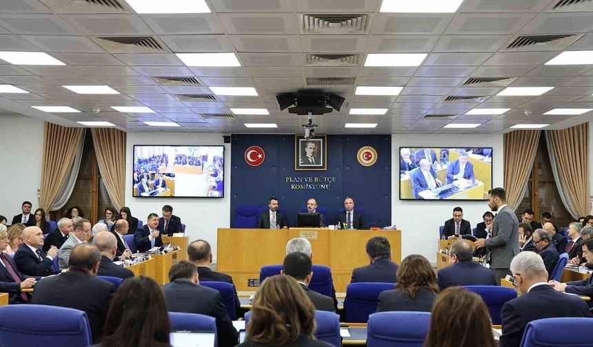 'Fon Düzenlemesi' Plan ve Bütçe Komisyonu'nda