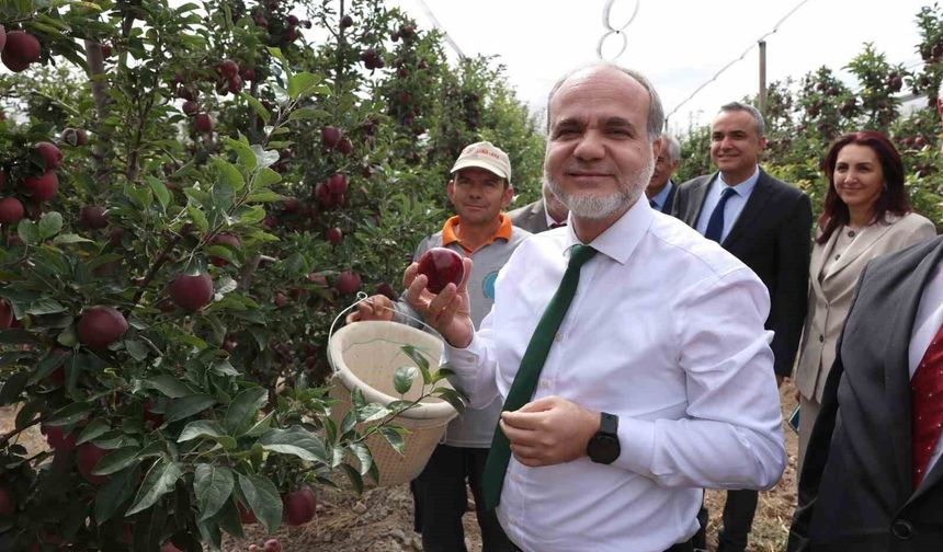 NÖHÜ'de 200 tonun üzerinde elma rekoltesi