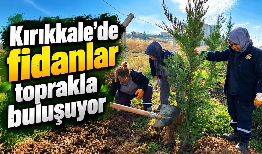 Kırıkkale’de fidanlar toprakla buluşuyor