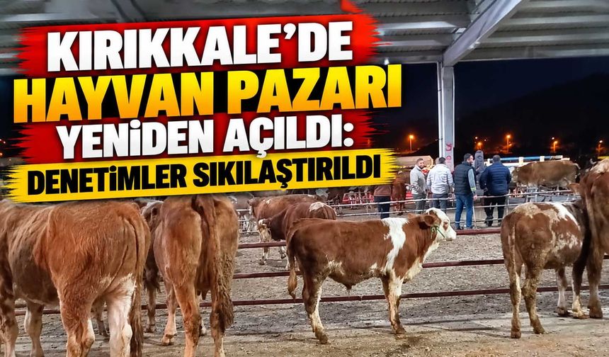 Kırıkkale’de Hayvan Pazarı yeniden açıldı: Denetimler sıkılaştırıldı