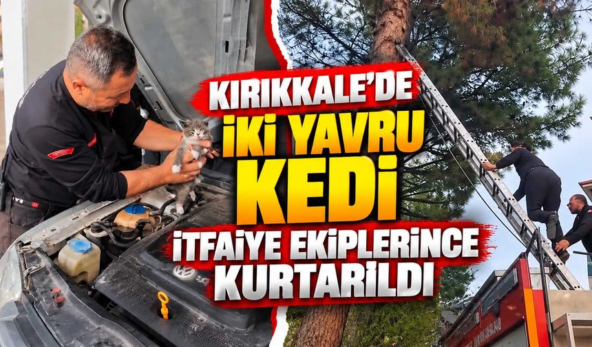 Kırıkkale'de iki yavru kedi itfaiye ekiplerince kurtarıldı