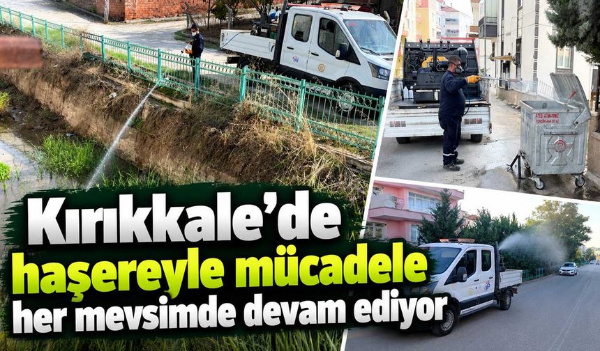 Kırıkkale’de haşereyle mücadele her mevsimde devam ediyor