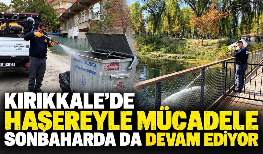 Kırıkkale’de haşereyle mücadele sonbaharda da devam ediyor
