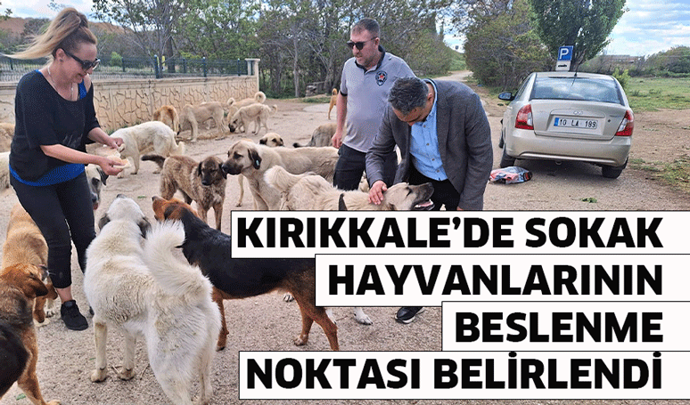 Kırıkkale’de sokak hayvanlarının beslenme noktası belirlendi