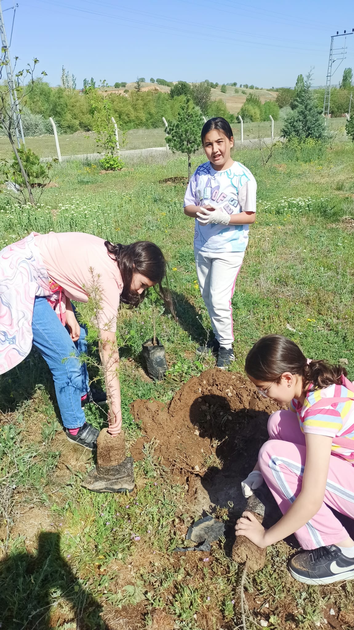 Kırıkkale’de Öğrenciler, Fidanları Toprakla Buluşturdu (6)