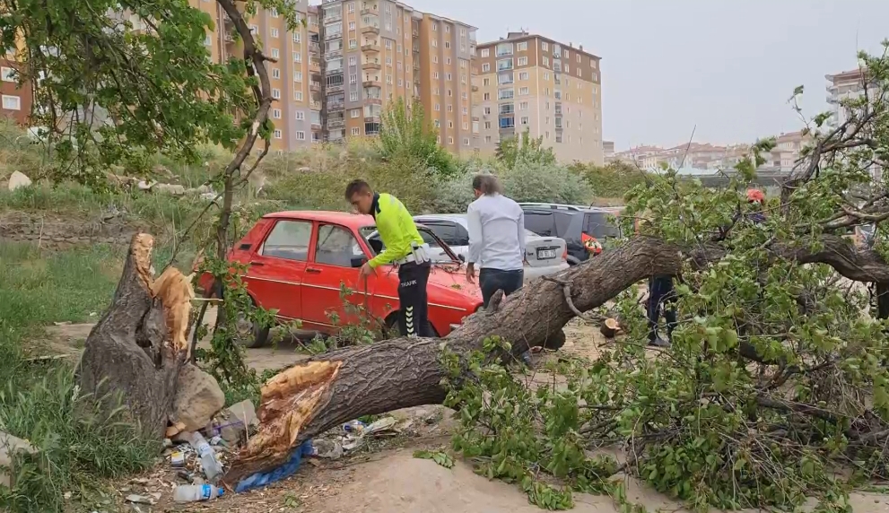 Kırıkkale’de Şiddetli Rüzgar, Ağaçları Devirdi! (3)