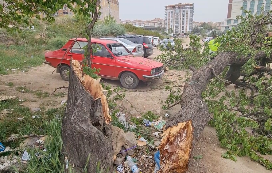 Kırıkkale’de Şiddetli Rüzgar, Ağaçları Devirdi! (5)