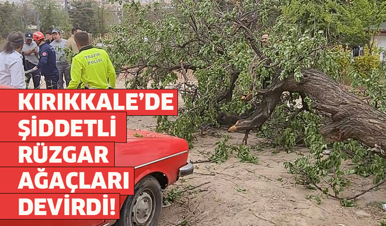 Kırıkkale’de şiddetli rüzgar, ağaçları devirdi!