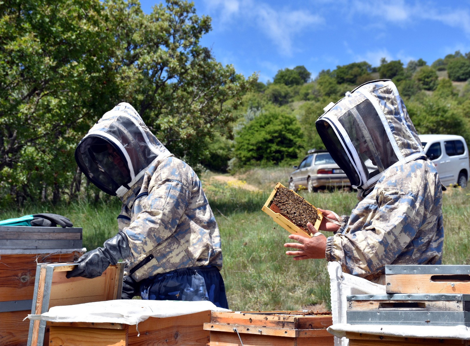 Arıcılar Kırıkkale’de Devlet Desteğiyle Bal Üretiyor (3)