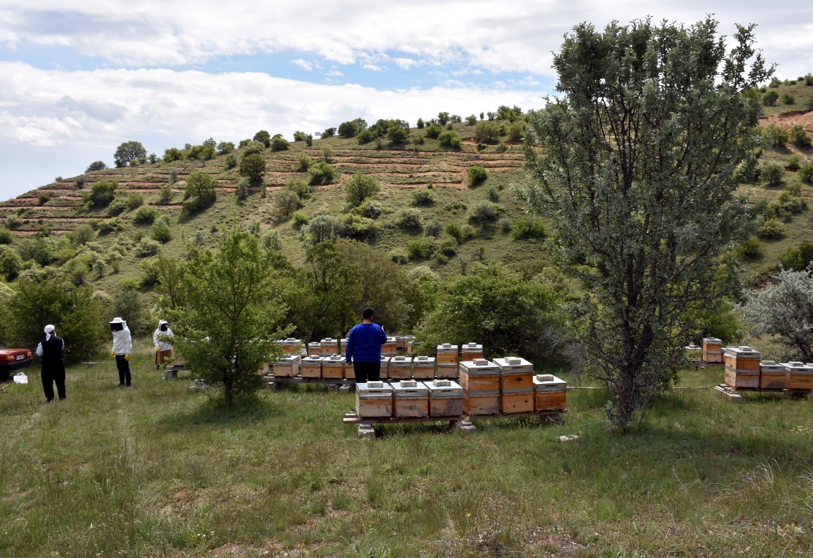 Arıcılar Kırıkkale’de Devlet Desteğiyle Bal Üretiyor (4)